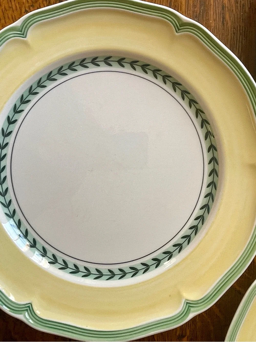 Villeroy & Boch French Garden ‘Vienne’ 10.5 “Dinner Plates - Set of 3